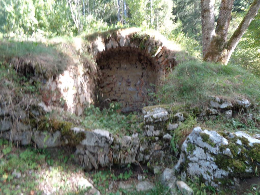 Le Faz- La Lunette la forêt des Coulmes