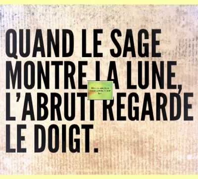 Proverbes et Citations Drôles