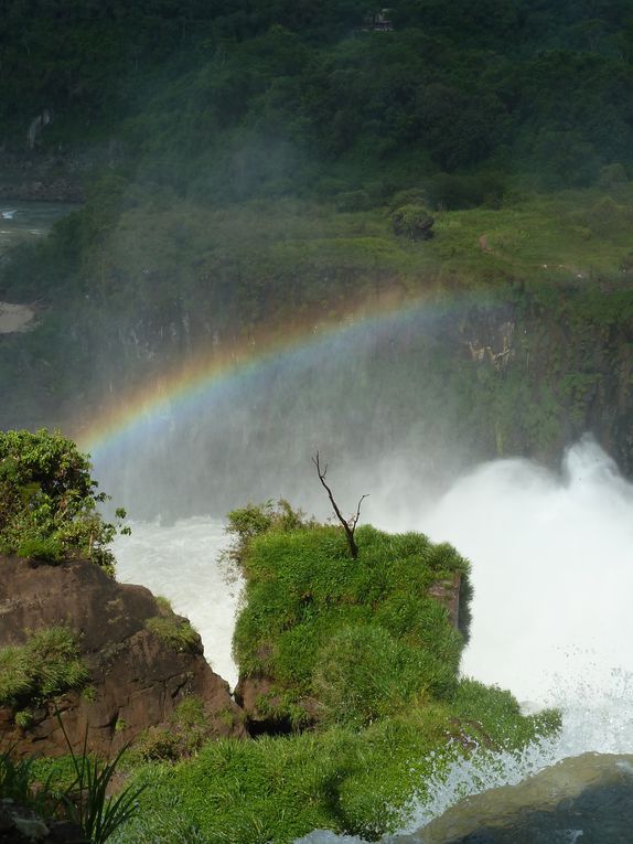 Album - Les chutes d'Iguazu