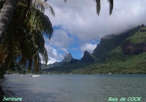 <strong>C'est un petit tour de l'&icirc;le.On arrive par le quai des ferries si on prend&nbsp;la route par la&nbsp;droite,on passe pr&egrave;s de l'hotel Softel Ia Ora et ses bungalows sem&eacute;s dans le lagon.<br />En prenant la route vers la gauche,on suit une bande de sable blond.<br />Le premier motu,le motu Ahi,celui de la pointe d'Afareaitu avant d'atteindre la baie d'Atiha.<br />On s'amuse devant le Tiki du restaurant Pa&icirc;napo qui veut dire ananas.L'&icirc;le de Moorea est sp&eacut