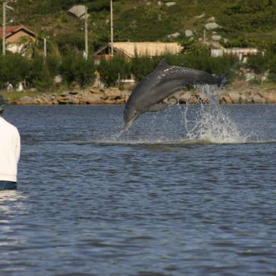 apóphthegma et aphorismos et pensées   130