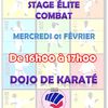 Stage élite combat