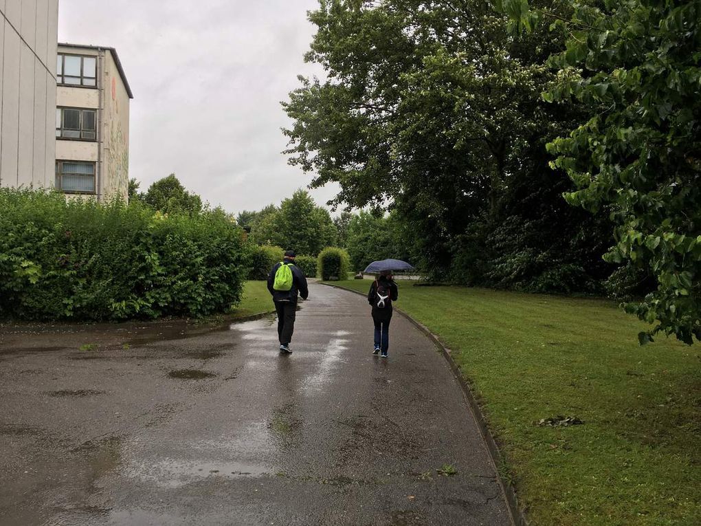 Fünf-Seen-Lauf Schwerin am 01.07.2017