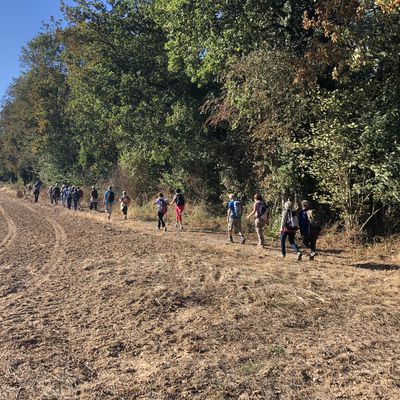 Randonnée de Maisse à Malesherbes - 17,7 km.