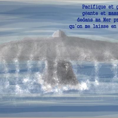 Baleine