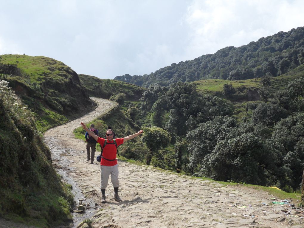 Trek jusqu'à admirer le Kangjenjunga, 3ème plus haut sommet du monde au soleil couchant et au petit matin