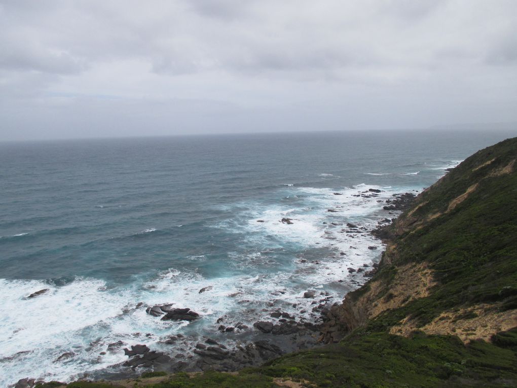 Great Ocean Road