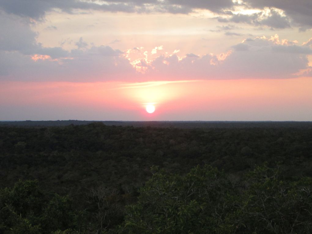 Album - coban-flores-tikal