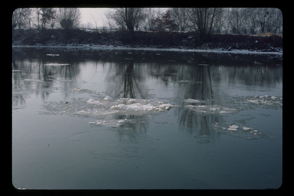 Rivières d'Anjou, la Loire majestueuse et l'océan.