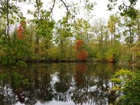 La mare aux Evées et ses canaux