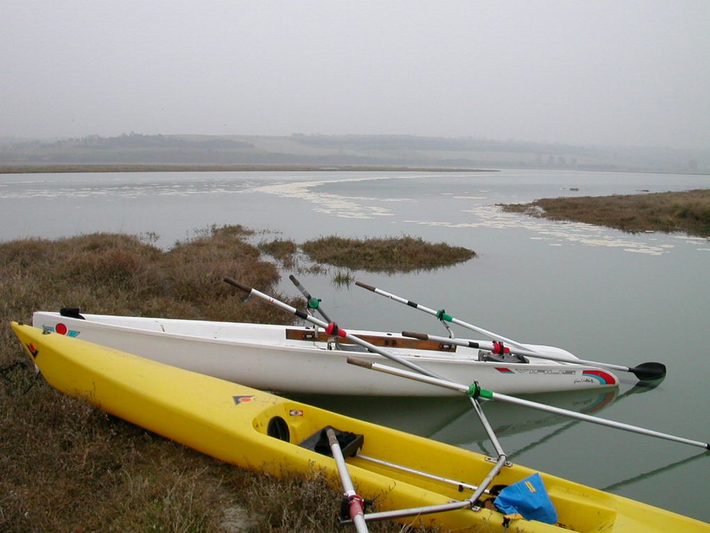 Rames en baie