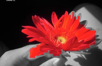 Digireal Red Flower