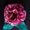 une fleur en papier essuie-tout : pas à pas