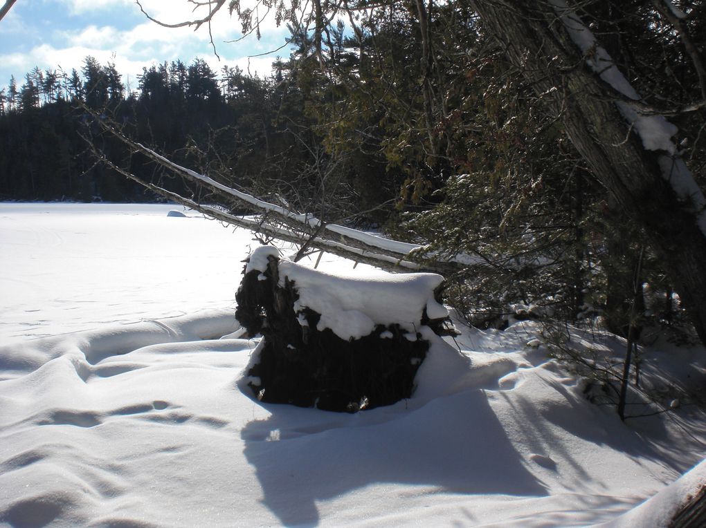 du 2 février au 5 février 2012