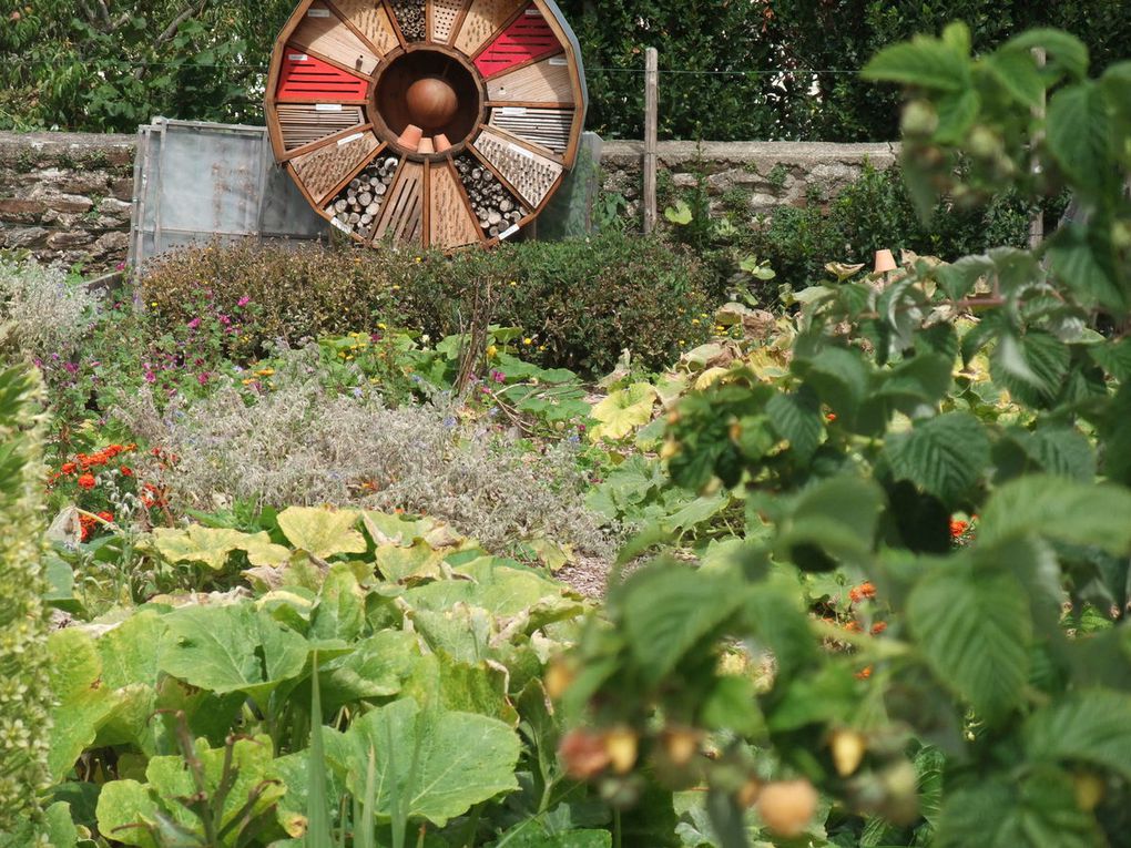 Le jardin n'a pas pris de vacances !