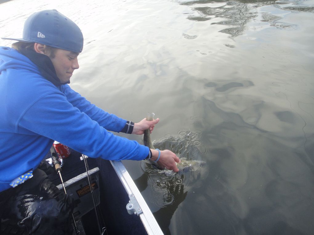 pêche en basse seine aux leurres souples en verticale et en linéaire sur une seule session avec mon ami charly alias super héros