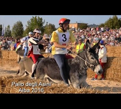 Alba Piémont vous attend pour son traditionel "Palio degli Asini" le 1er octobre 2017 !