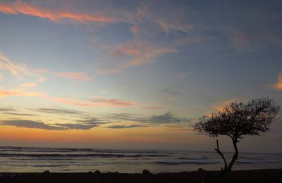 Huanchaco (du 4 au 6 Février)