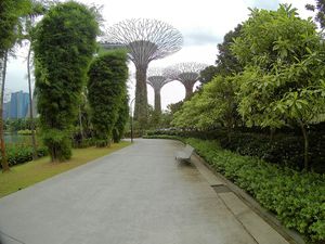 Dans la continuité de notre visite, juste derrière le marina bay sands on a découvert un tout autre décors. Troquant les buildings contre un grand parc, on s'est baladé dans le "malay garden". Un des colocataires d'Hélène nous l'avait présenté comme étant un site incontournable, représentant entre autre la forêt d'Avatar. Désireux de savoir pourquoi, il ne nous fallut pas longtemps pour faire le rapprochement. Principalement située en son centre, nous sommes tombés, après une dizaine de minutes de marche, sur une multitude d'immenses arbres métallique  appelé " Supertree Grove". Nous rappelant en effet le film, ses armatures sont recouvertes de plantes grimpantes qui petit à petit tentent d'arriver jusqu'au sommet, rendant le tout épatant. Pour ceux qui le désire et qui payent, il est possible de poursuivre la balade sur des passerelles aériennes pour admirer le spectacle de plus près. 