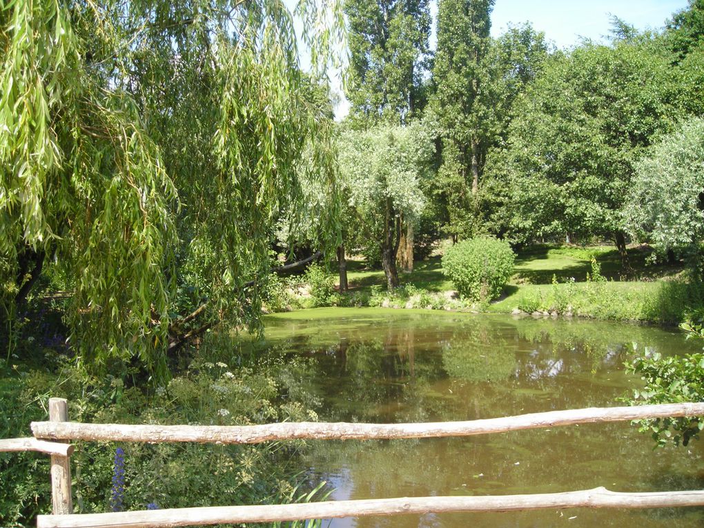 Album - Puy-du-fou 2010