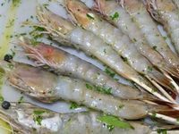 2 - Préparer une marinade dans un récipient refermable avec de l'huile d'olive, le jus d'une moitié de citron vert, le persil plat ciselé, le poivre de Timut, le sel, bien mélanger. Oter la carapace des gambas en laissant la tête et la queue et les placer dans la marinade en les badigeonnant bien. Laisser mariner pour 30 mn.
