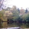 Au bord du Ger, la pêche à la truite