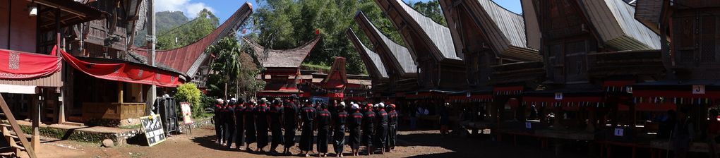Album SULAWESI--FLORES. 2012