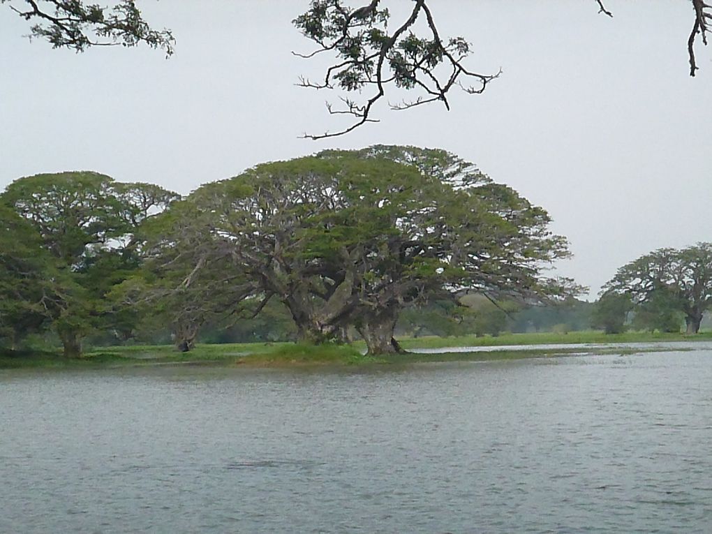 Album - Sud-Sri-Lanka