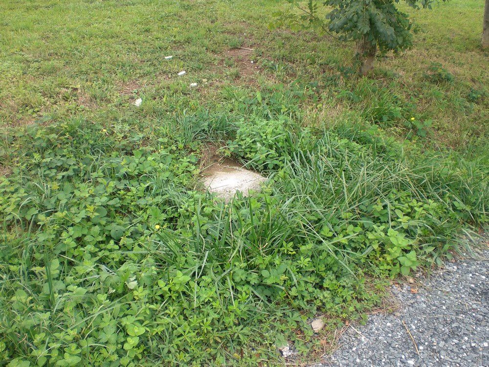 Rejet au fossé communal (un peu envahit par la verdure !)