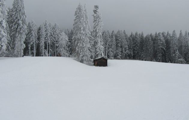 Première sortie d'hiver à Autrans