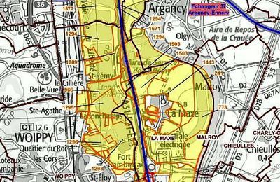 Fermeture partielle de la A31 en vue d’une vaste opération de régulation du sanglier