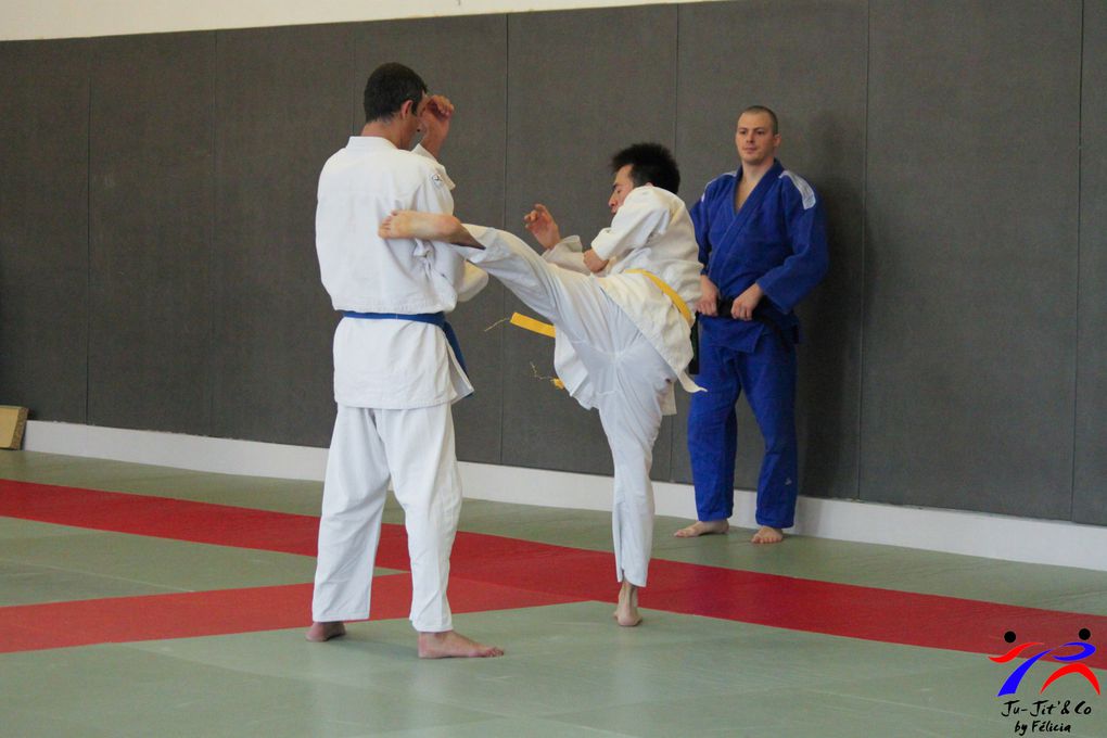 Jujitsu combat 06 2013 avec Sébastien Sanési organisé comme d'habitude par Ludo et Fred