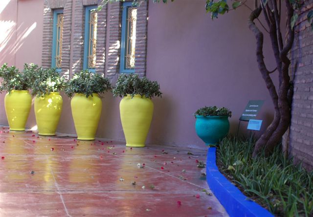 Album - Le-jardin-Majorelle