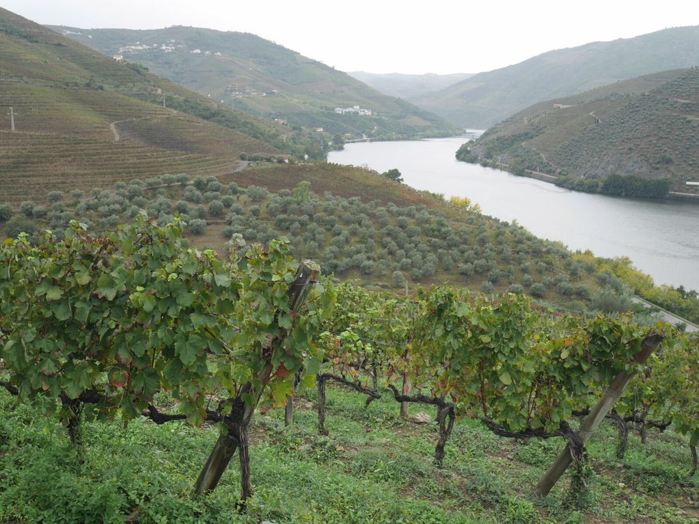 Week-end à Porto: journée dans la vallée du Douro