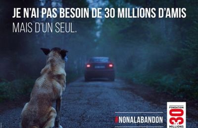 Mille et une raisons déraisonnables d'abandonner son animal. SPA. Ami ou ennemi des bêtes, telle est la question.