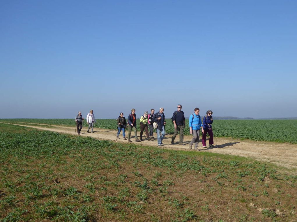 Randonnée en boucle à Boutigny-sur-Essonne - 22 km.