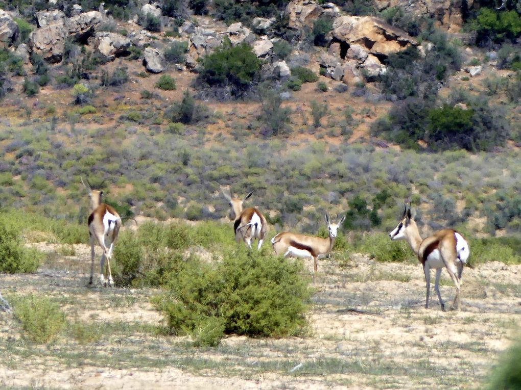 Retour en Afrique du Sud 01/09/2022 au 08/09/2022