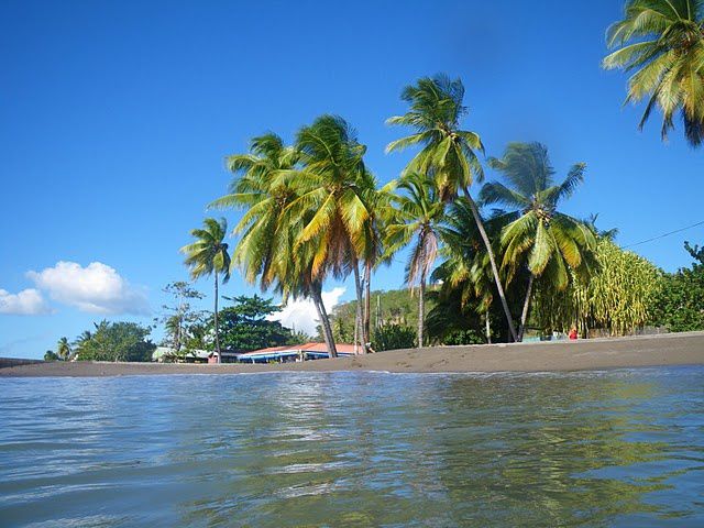 Album - Martinique 2010