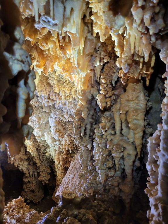 Grotte des Champignons - 20 janvier 2024