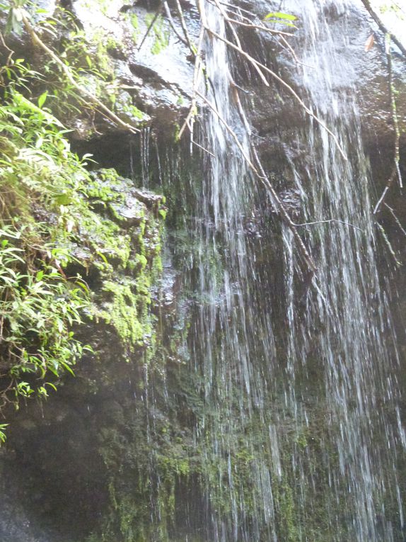 ballades au fil de l'eau..