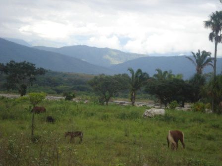 Album - colombia---colombie