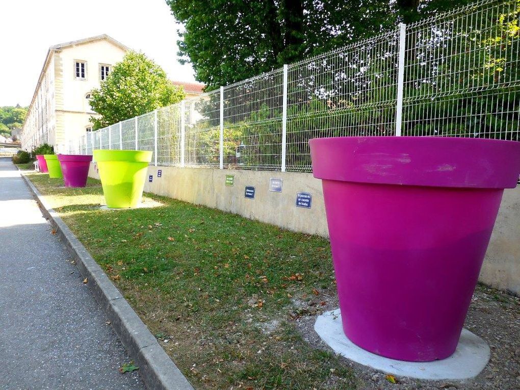 Cheminement au Lycée Poincaré