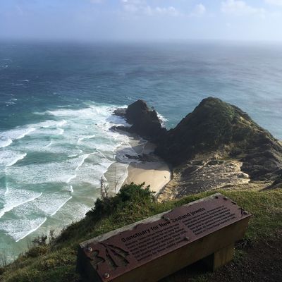 NOUVELLE ZELANDE : pointe extrême NORD au CAP REINGA, lieu le plus sacré des Maori