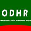 ODHR : Arrestations de Theoneste Nsengimana journaliste d’Umubavu TV, des membres du parti d’opposition Dalfa Umurinzi et de l’homme politique indépendant Abdou Rashid Hakuzimana – Procès des YouTubeurs Aimable Karasira et Yvonne Idamange. 