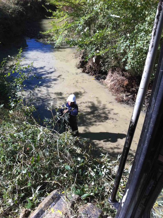 Entretien des berges de l'Auvignon en octobre 2010