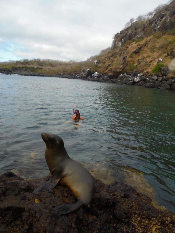 Archipel des Galápagos - un rêve éveillé