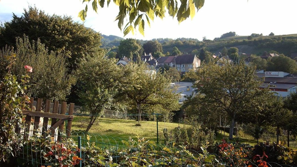 Dernier dîner dans l'intimité de Jocelyne H et Robert NICOLAS. Petit tour par les vignes familiales.