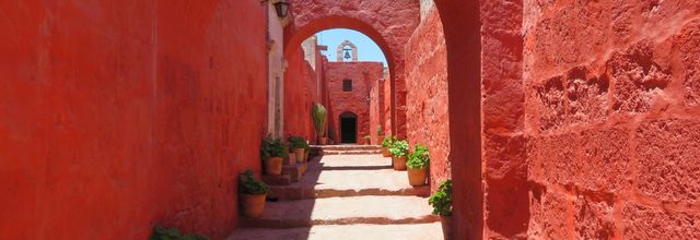 Arequipa et le bilan péruvien, entre transexuel et chien chauve