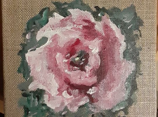 Pivoine