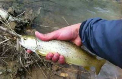 Les sessions avec les membres du Fishing Urban Klubb